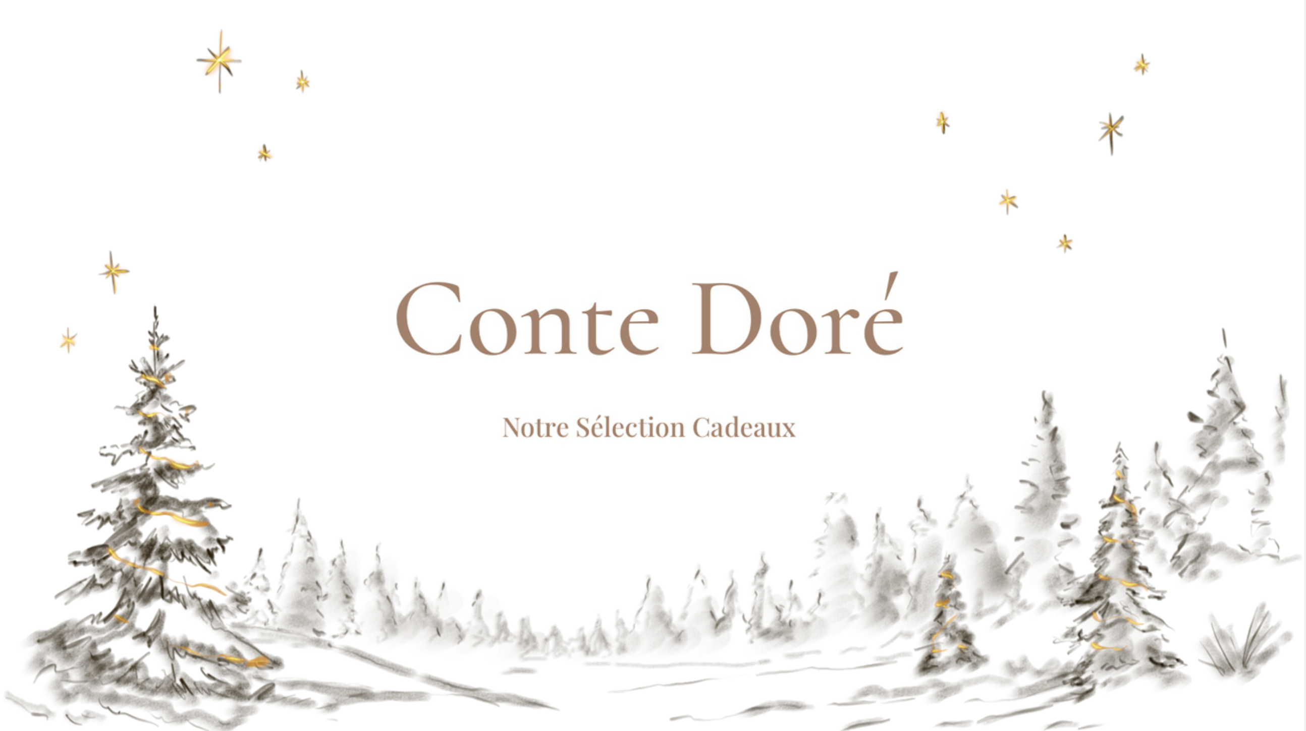 Capture_d_ecran_2025-11-20_a_17.14.32.png